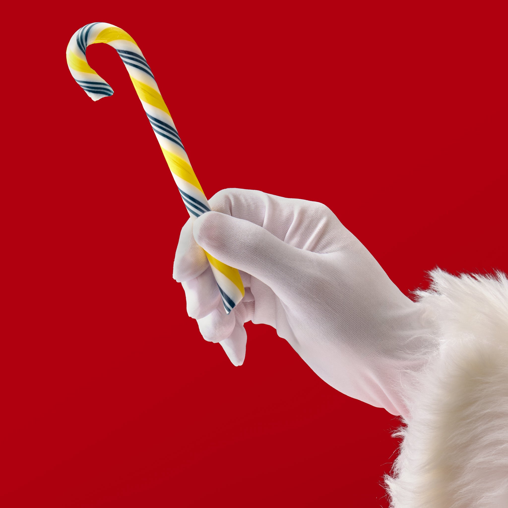 Anise Candy Canes (1 Doz.) – Giambri's Quality Sweets